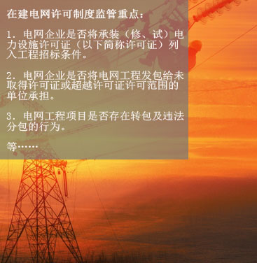 八、在建電網(wǎng)工程項目許可制度執(zhí)行情況