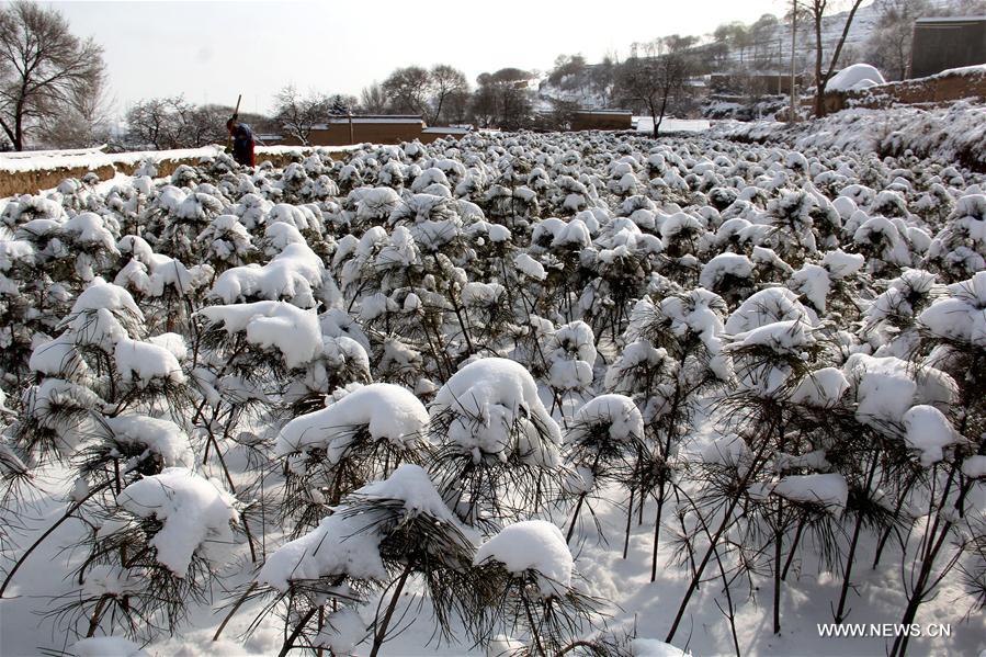 #CHINA-GANSU-SNOWFALL (CN)