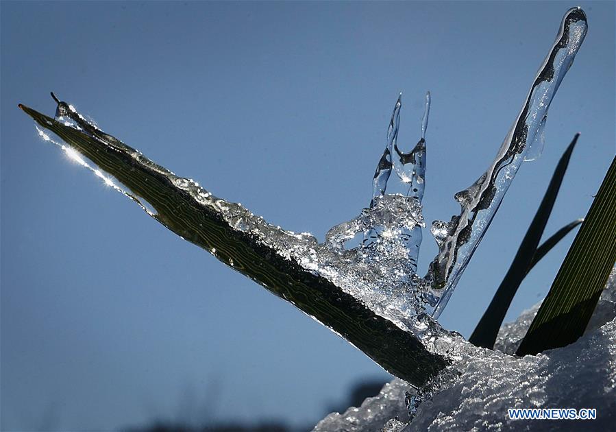 CHINA-HENAN-WINTER-ICE (CN)