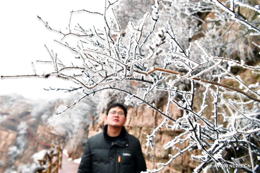 CHINA-HENAN-PINGDINGSHAN-FROST SCENERY (CN)