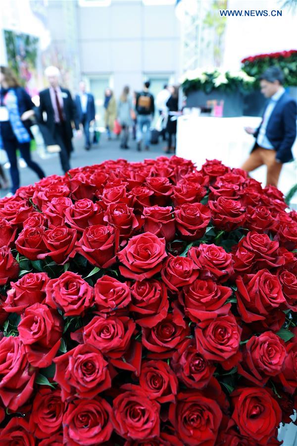 GERMANY-FRANKFURT-EXHIBITION-FLORADECORA