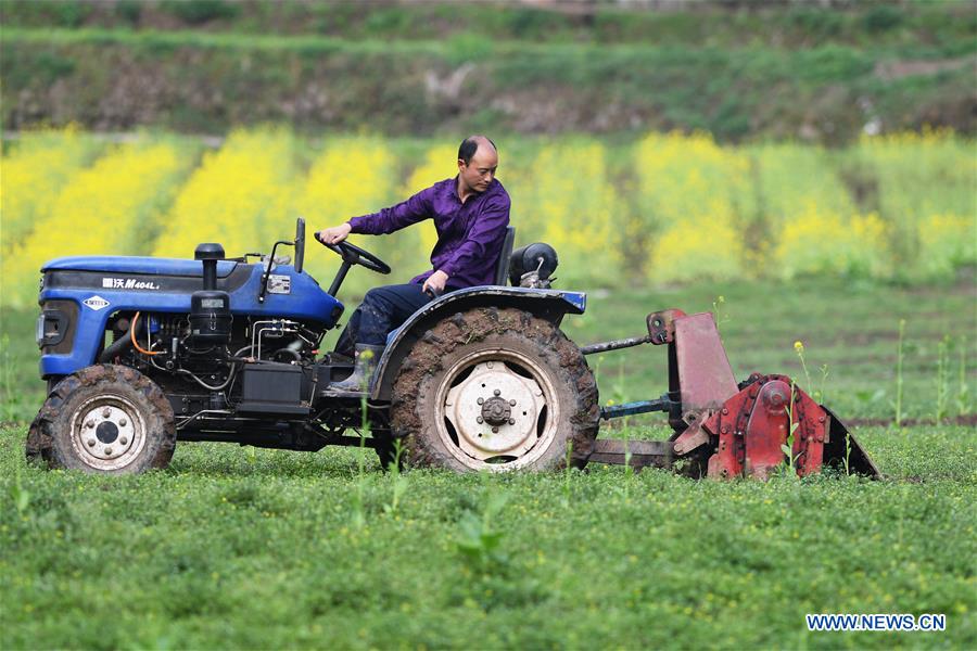 CHINA-SPRING-FARM WORK (CN)