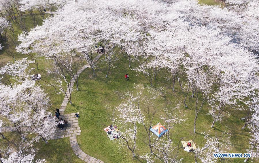 CHINA-SPRING SCENERY-FLOWERS (CN)