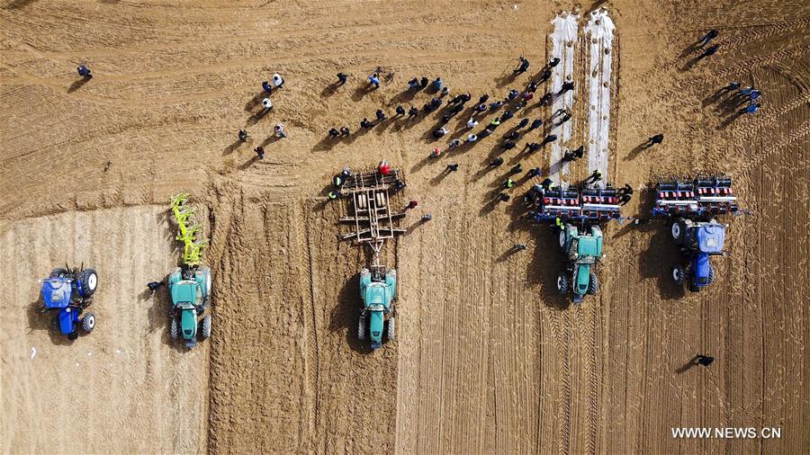 CHINA-XINJIANG-SELF-DRIVING TRACTOR (CN)