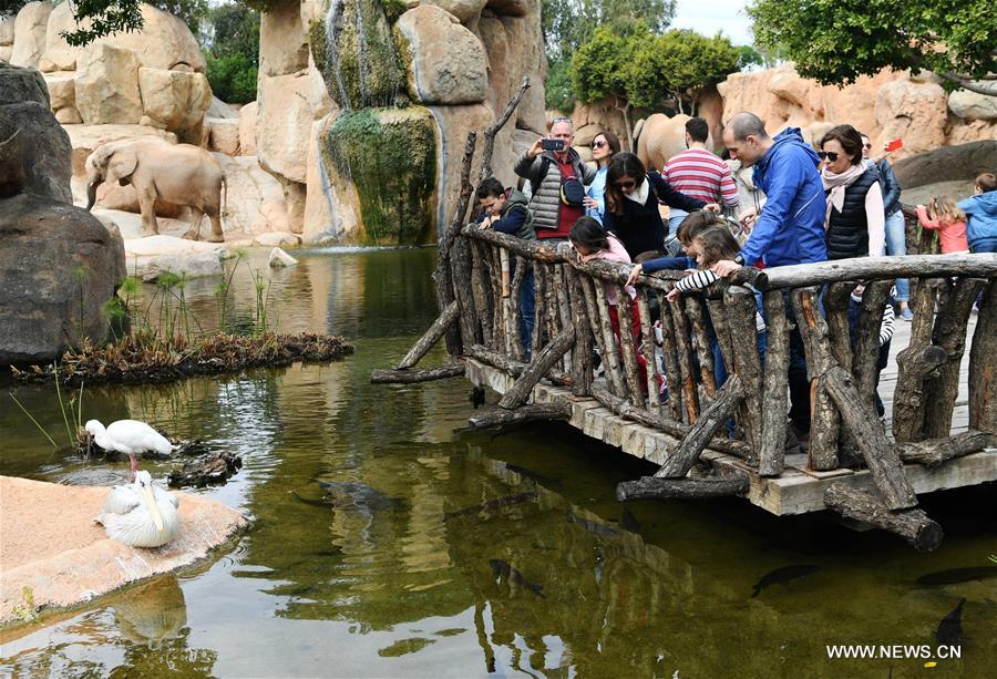 SPAIN-VALENCIA-BIOPARC ZOO