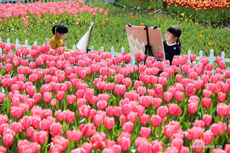 #CHINA-SPRING-SCENERY(CN)