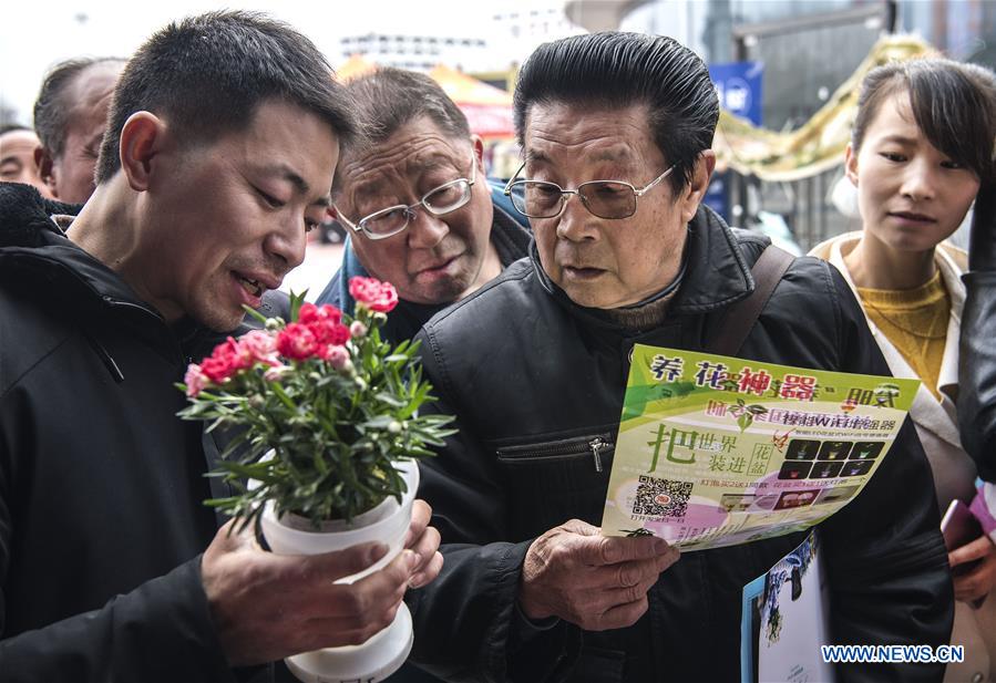 CHINA-SHAANXI-HANZHONG-FLOWER ECONOMY (CN)