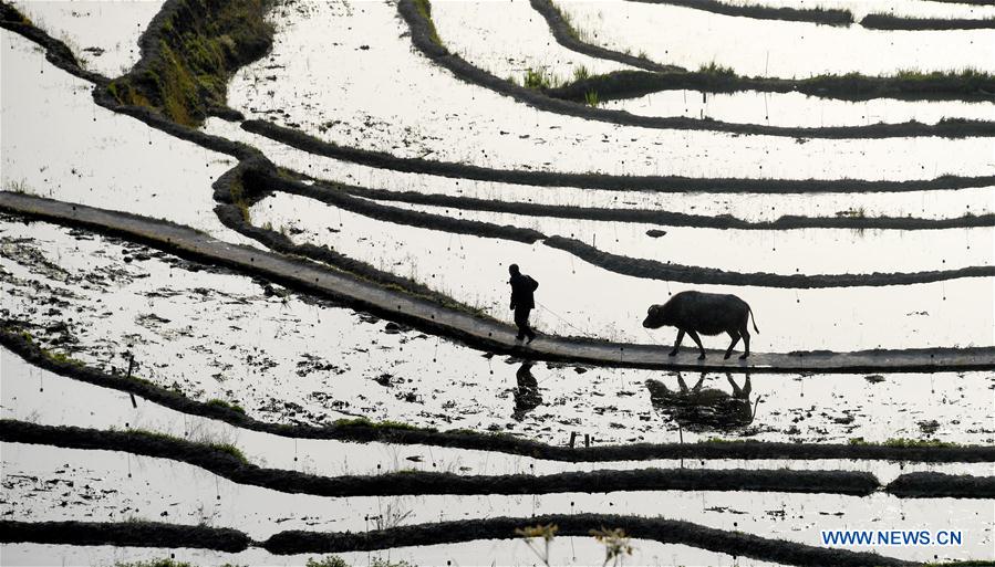 CHINA-HUBEI-TERRACE-SCENERY (CN)