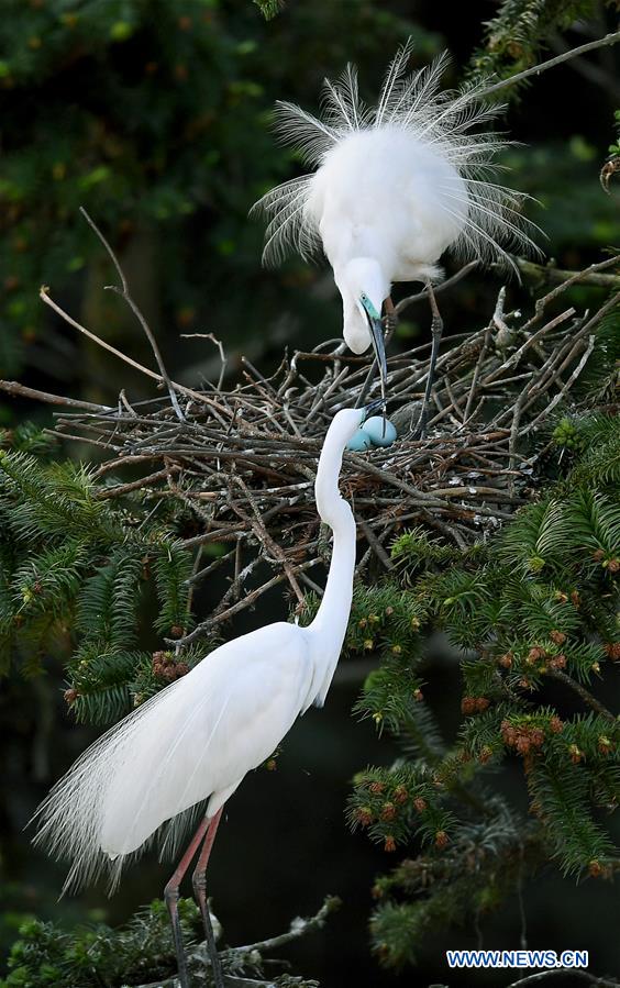 XINHUA PHOTO WEEKLY CHOICES (CN)