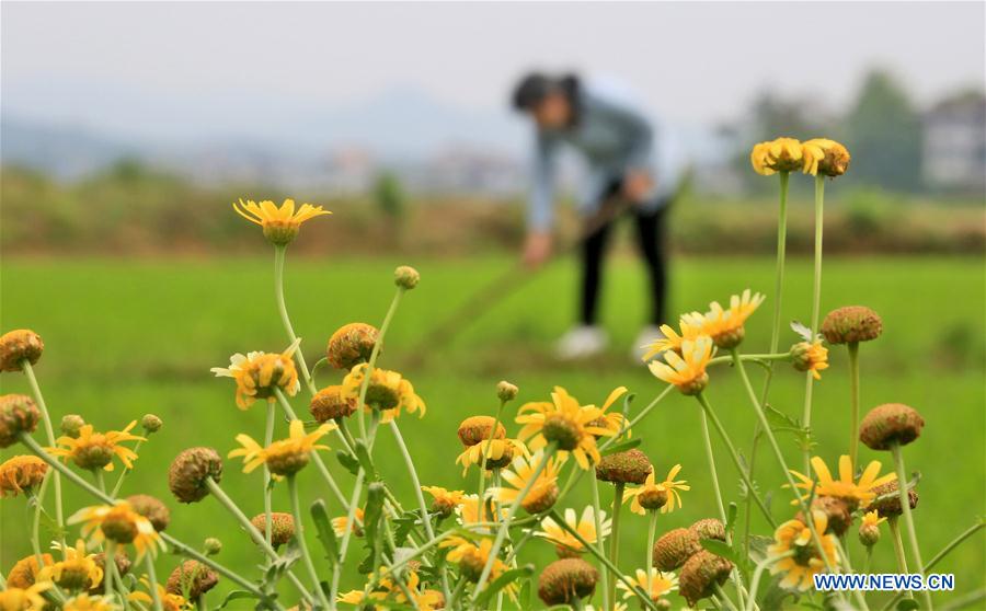 #CHINA-SPRING-FARMING (CN)