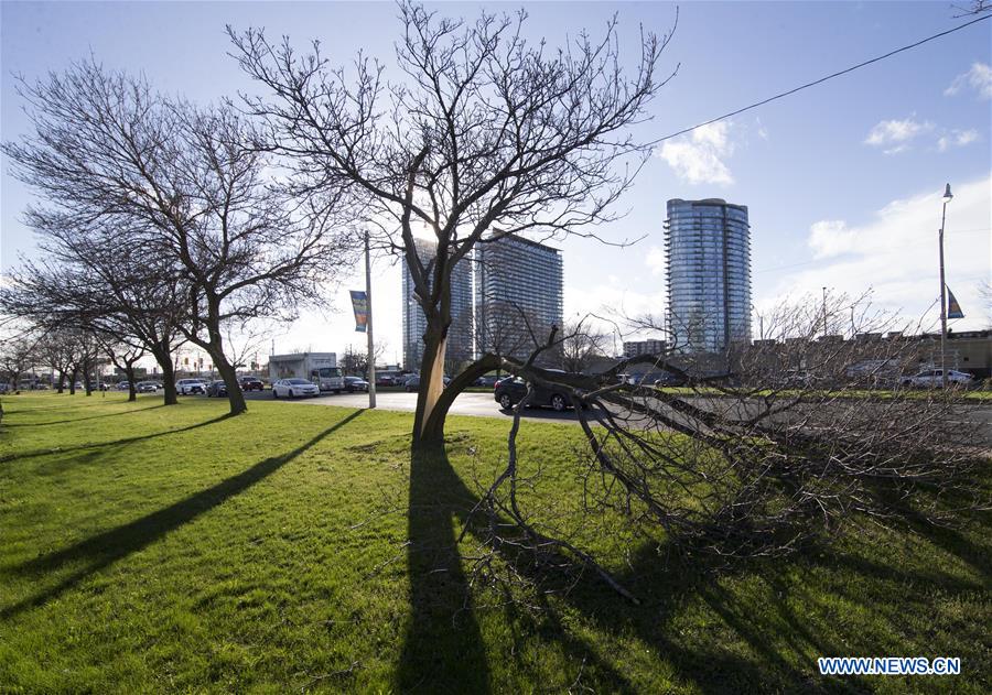 CANADA-TORONTO-WEATHER-HIGH WIND