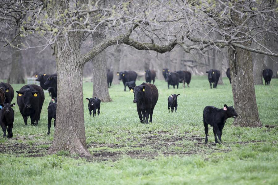 U.S.-ATLANTIC-FARM OWNER-CHINESE MARKET