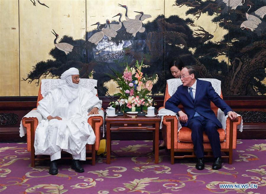 CHINA-BEIJING-WANG QISHAN-AFRICA-FORUM (CN)