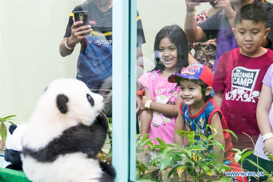 MALAYSIA-KUALA LUMPUR-PANDA-FEEDER