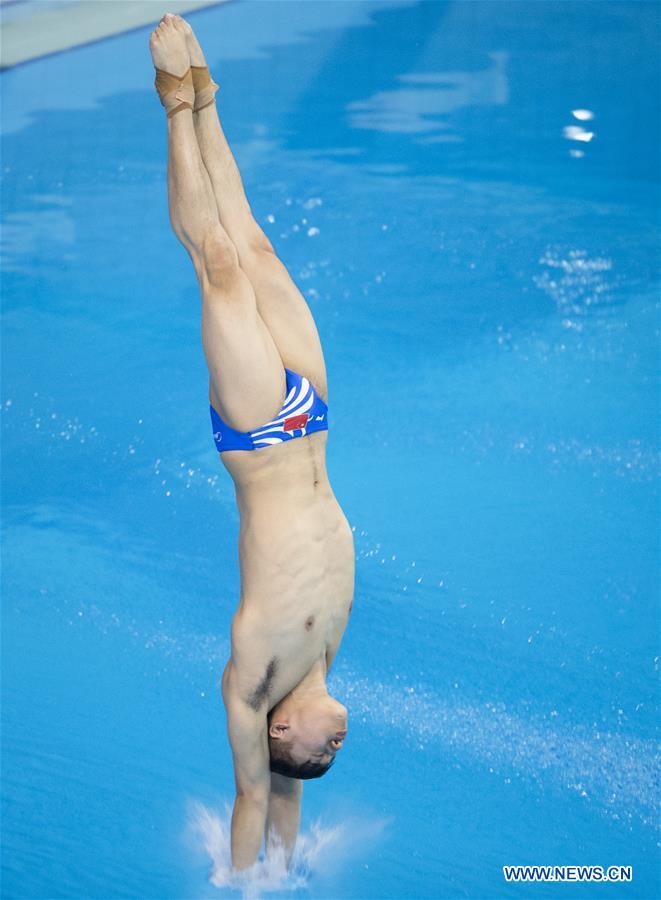 (SP)CHINA-WUHAN-DIVING-FINA-WORLD CUP (CN)