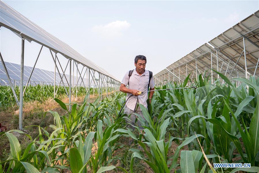 CHINA-HEBEI-WUYI-POVERTY RELIEF (CN)