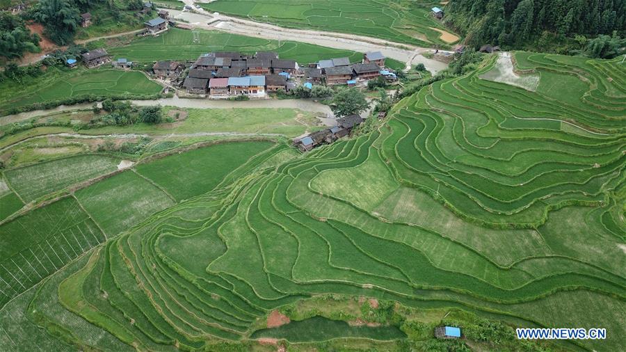 CHINA-GUIZHOU-RONGJIANG-TERRACED FIELD (CN)