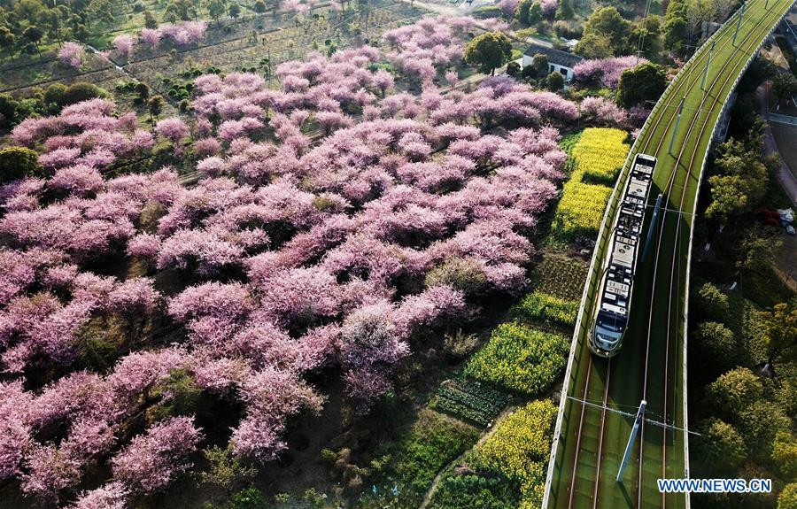 CHINA-ECOLOGICAL DEVELOPMENT-PROGRESS (CN)