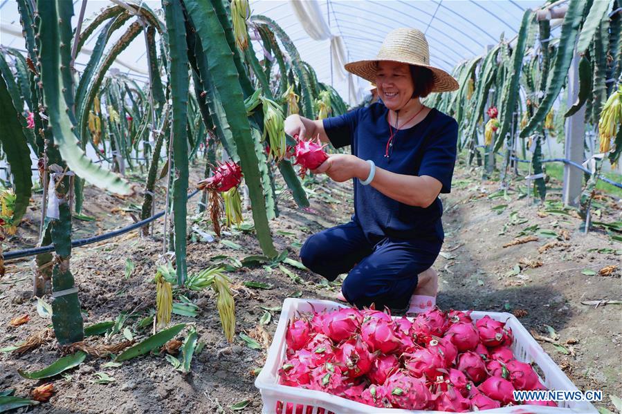 CHINA-ZHEJIANG-CHANGXING-POVERTY ALLEVIATION (CN)