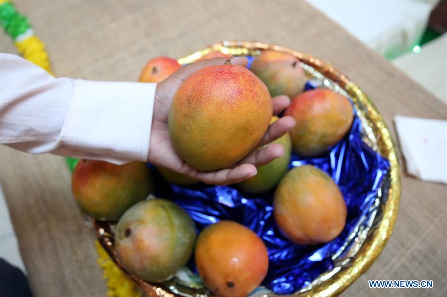 PAKISTAN-ISLAMABAD-MANGO-FESTIVAL