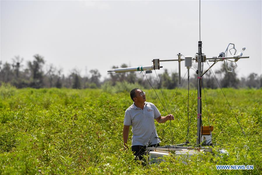 CHINA-INNER MONGOLIA-KUBUQI-DESERT CONTROL-TECHNOLOGY INNOVATION (CN) 