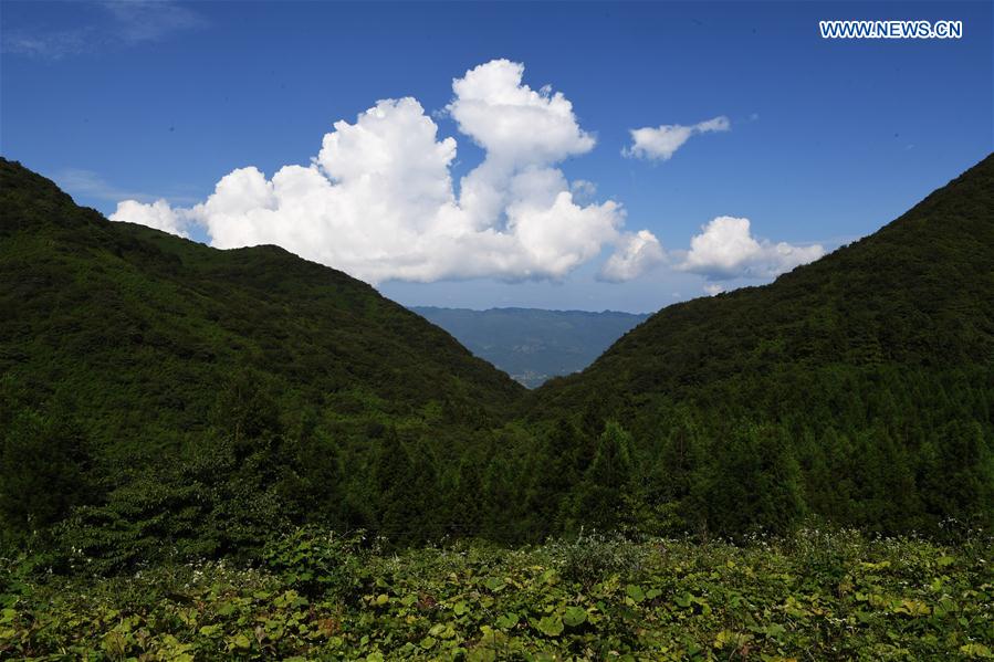 CHINA-CHONGQING-SCENERY (CN)