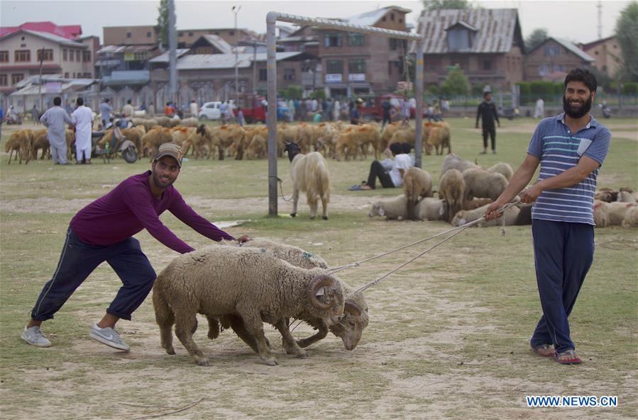 KASHMIR-SRINAGAR-LIVESTOCK MARKET-EID AL-ADHA