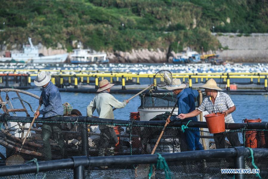 CHINA-ZHEJIANG-WENZHOU-MARICULTURE (CN)