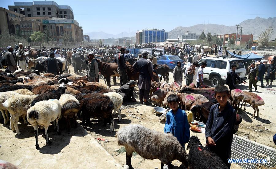 AFGHANISTAN-KABUL-EID AL-ADHA 