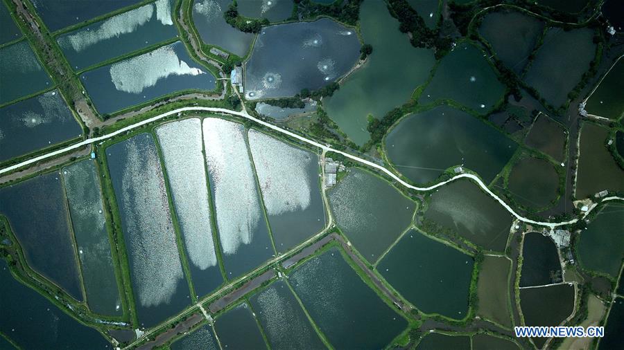 CHINA-GUANGXI-QINZHOU-PONDS-SCENERY (CN)