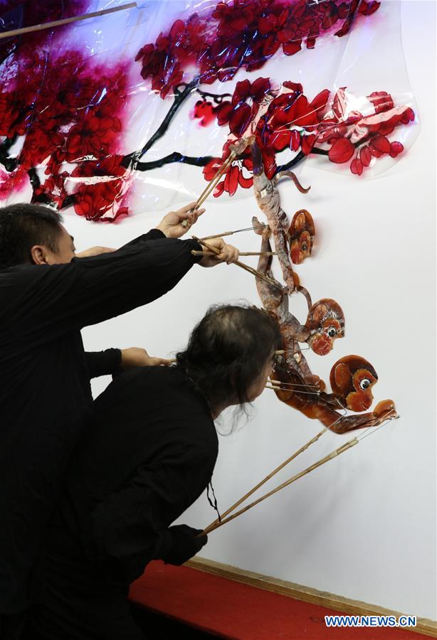 #CHINA-HEBEI-HANDAN-SHADOW PUPPET (CN)