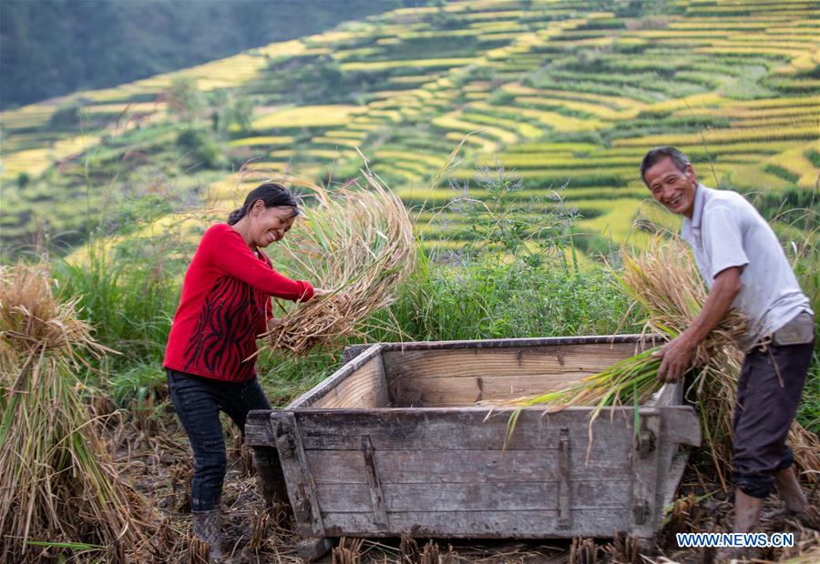 CHINA-CHONGQING-FARMWORK-TOURISM (CN)