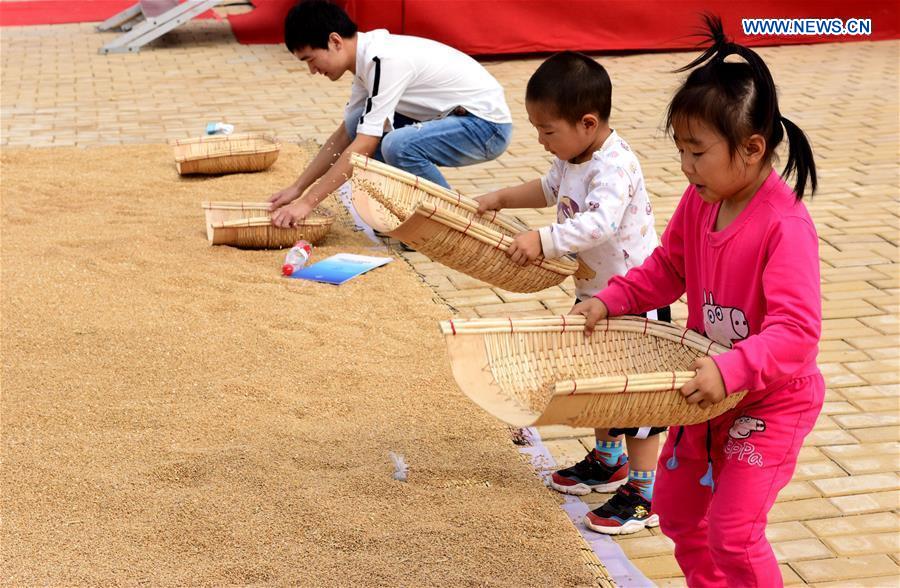 CHINA-HENAN-XINZHENG-HARVEST FESTIVAL (CN)