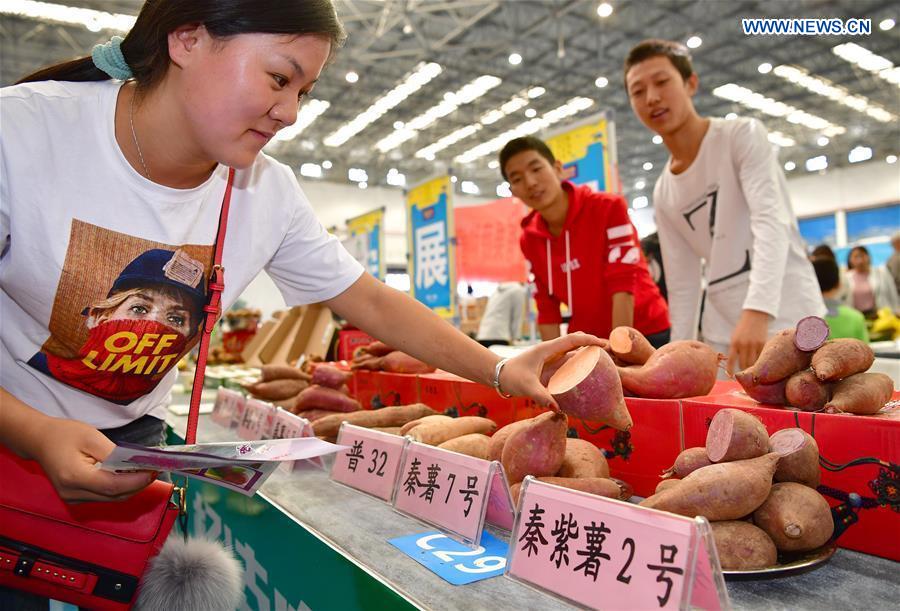 CHINA-SHAANXI-YANGLING-HARVEST-FESTIVAL (CN)