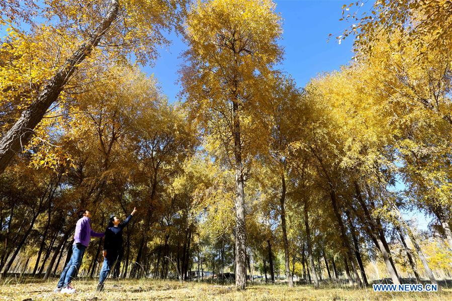 #CHINA-ZHANGYE-QILIAN MOUNTAINS-SCENERY (CN)