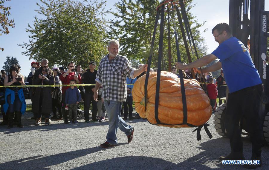 CANADA-LANGLEY-GIANT PUMPKIN WEIGH-OFF EVENT