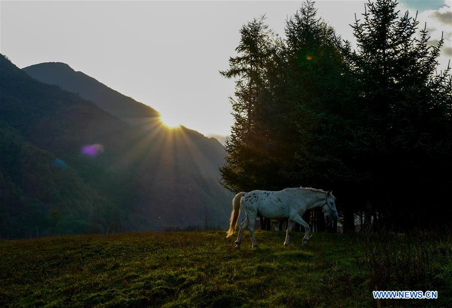 CHINA-CHONGQING-MOUNTAIN-SCENERY (CN)