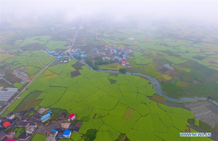 CHINA-GUANGXI-LIUZHOU-AUTUMN-SCENERY (CN)