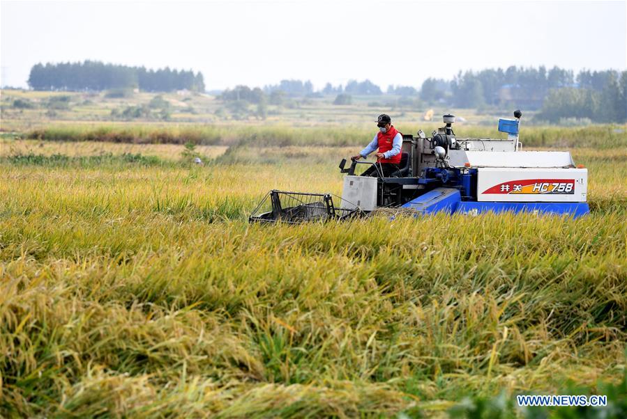 Xinhua Headlines: Poverty and Pride: The village that shook a nation