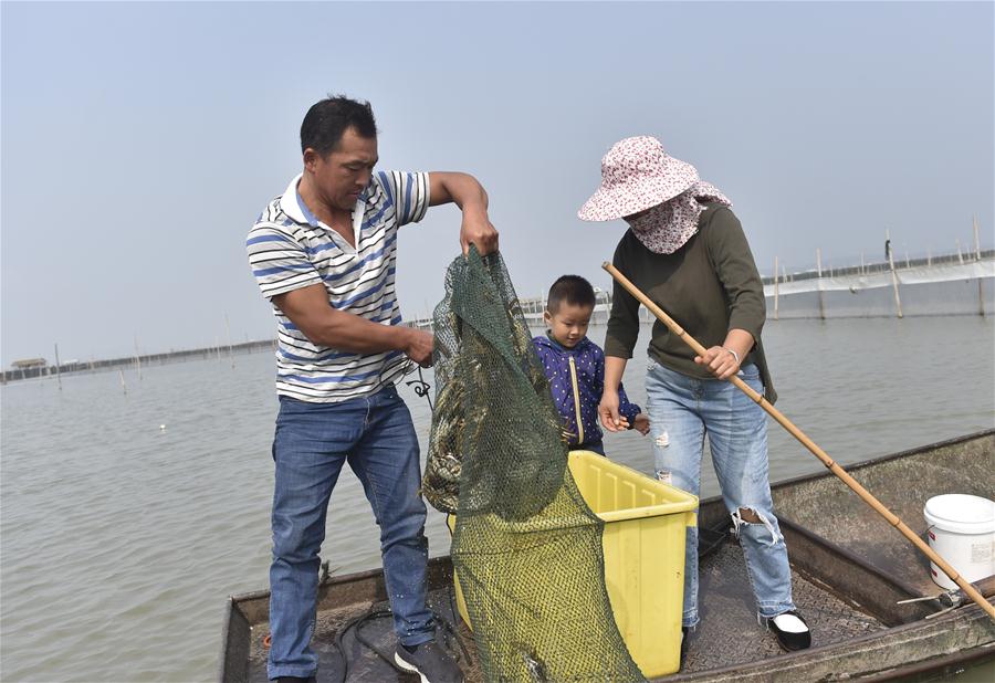 CHINA-ZHEJIANG-CRABS-HARVEST (CN)