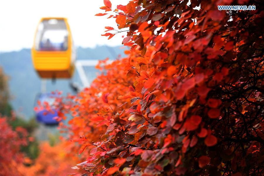 CHINA-BEIJING-BADACHU-AUTUMN SCENERY(CN)