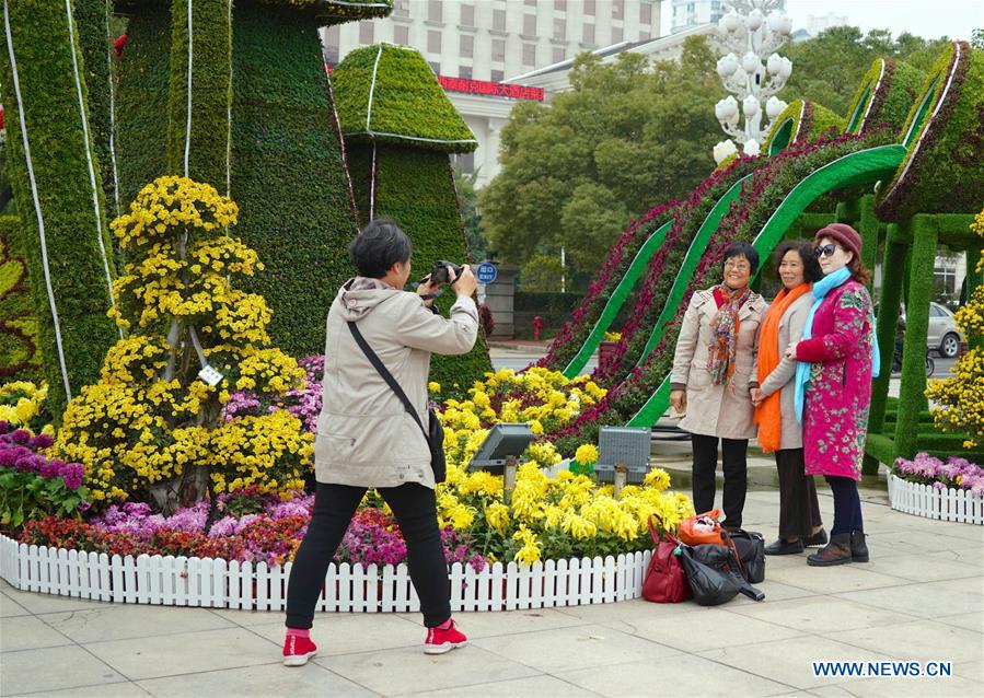 CHINA-JIANGXI-NANCHANG-CHRYSANTHEMUM SHOW (CN)