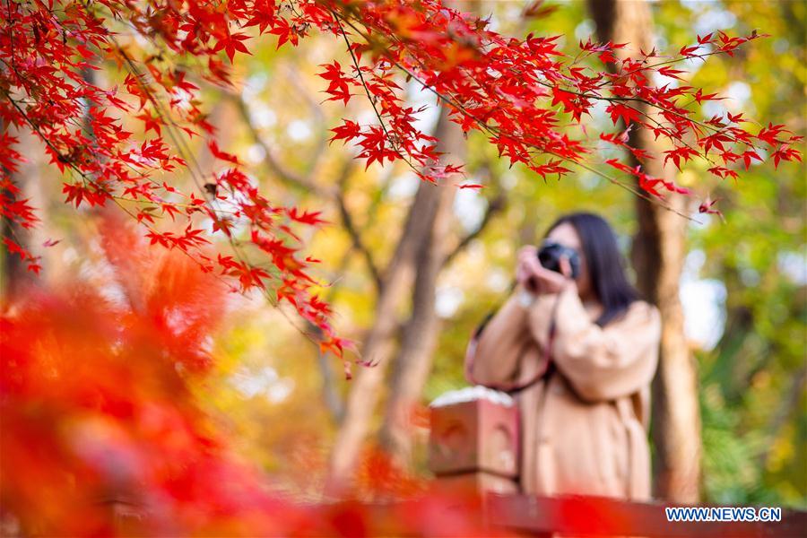 #CHINA-WINTER-SCENERY (CN)