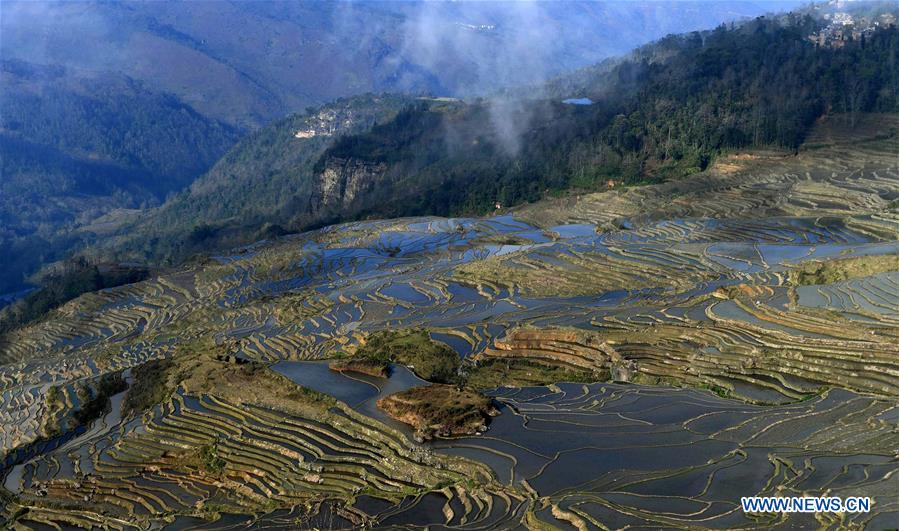 CHINA-YUNNAN-HANI TERRACED FIELDS-VIEWS (CN)