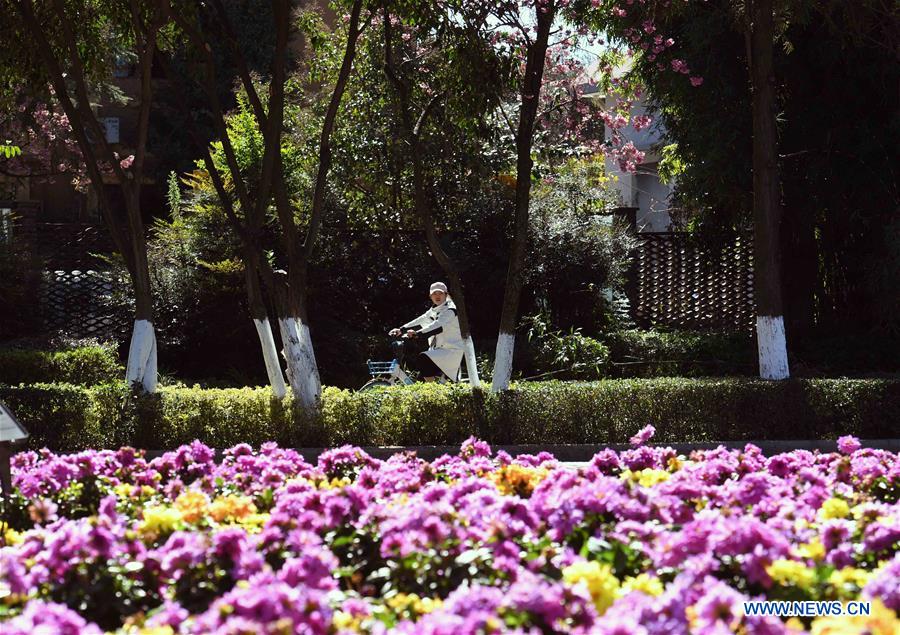 CHINA-YUNNAN-KUNMING-FLOWER BLOSSOM (CN)