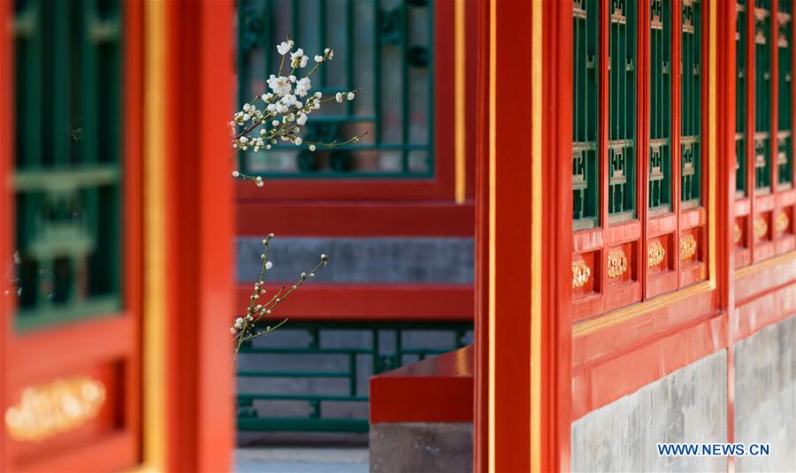 (InPalaceMuseum)CHINA-BEIJING-PALACE MUSEUM-FLOWERS (CN)  