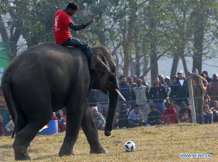 NEPAL-CHITWAN-ELEPHANT FESTIVAL