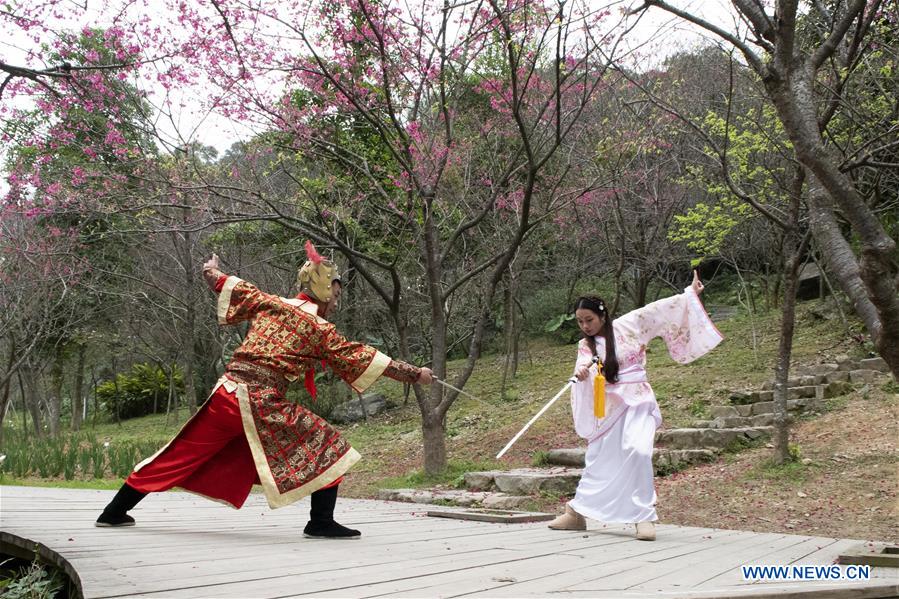 CHINA-FUJIAN-FUZHOU-CHERRY BLOSSOM (CN)