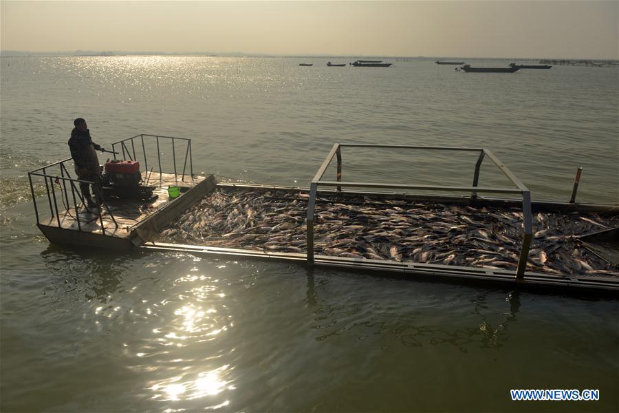 #CHINA-ANHUI-FISHING (CN)