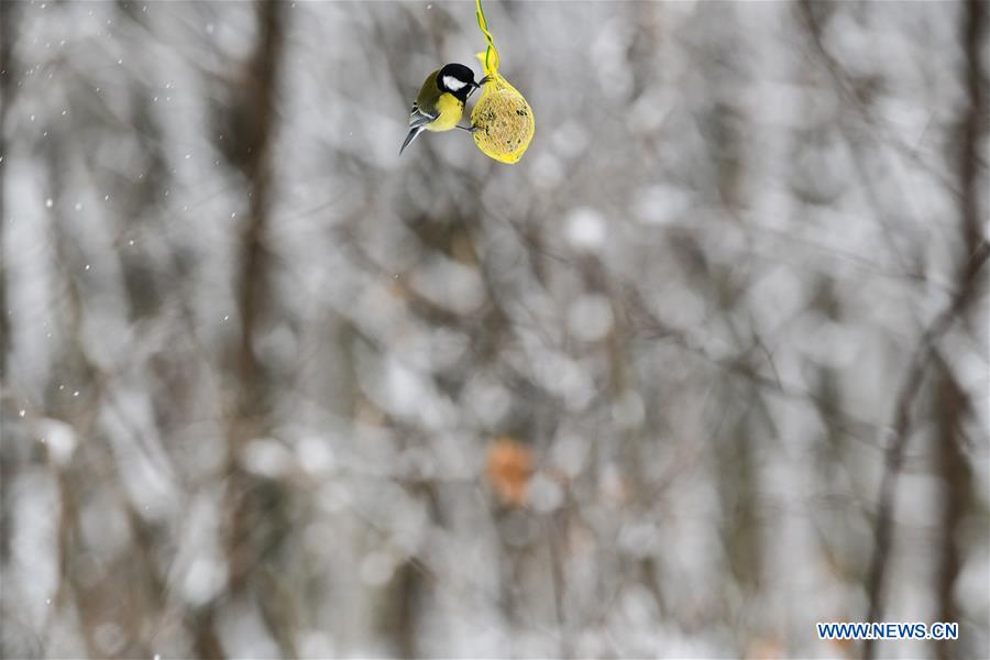 XINHUA PHOTOS OF THE DAY